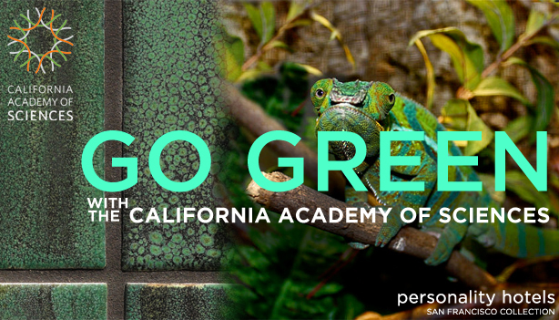 San Francisco Personality Hotels Go Green Package