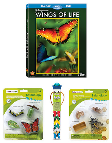 Disneynature Wings of Life Blu-ray Combo pack prize giveaway