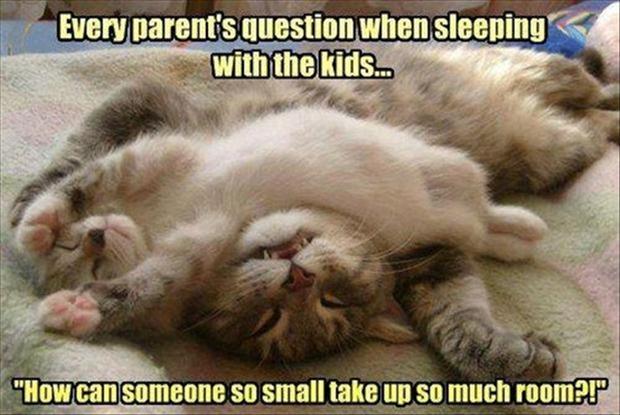 Sleeping With Kids Funny Quote About Kids