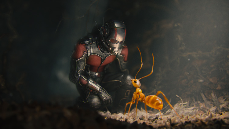 Ant-Man Blu-Ray, DMA, Digital HD\u2014Even Better Than Before!