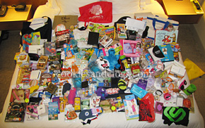 BlogHer '11 Swag Top