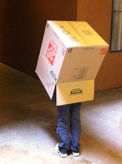 Kid having fun while moving houses