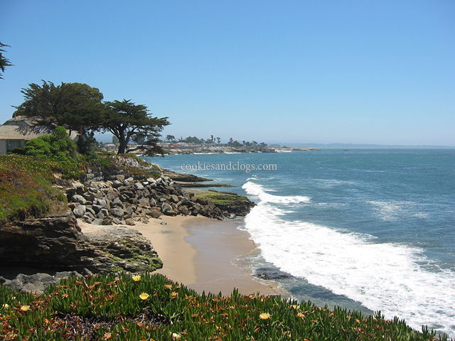 Santa Cruz on California Coast