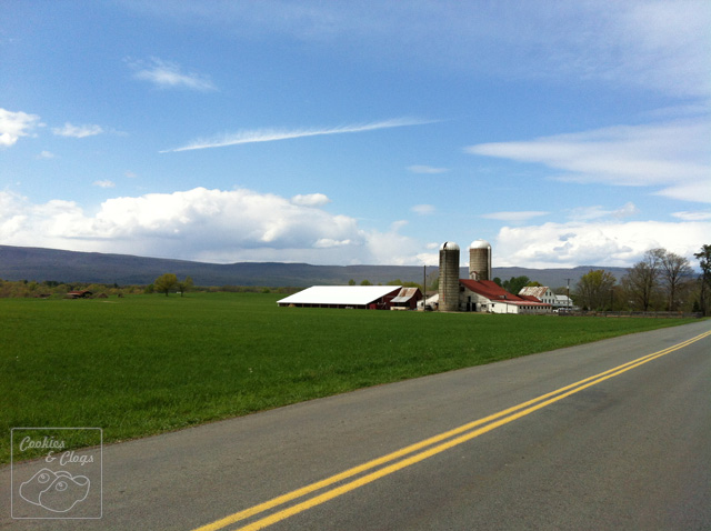 Mid- Up state New York Farm Countryside