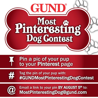 Gund Most Pinteresting Dog Contest pinterest