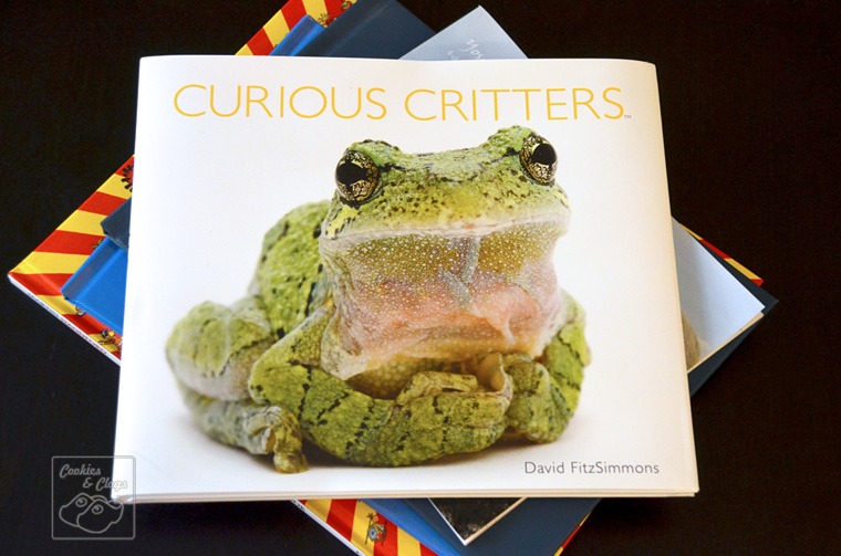 Curious Critters children's picture book by David FitzSimmons