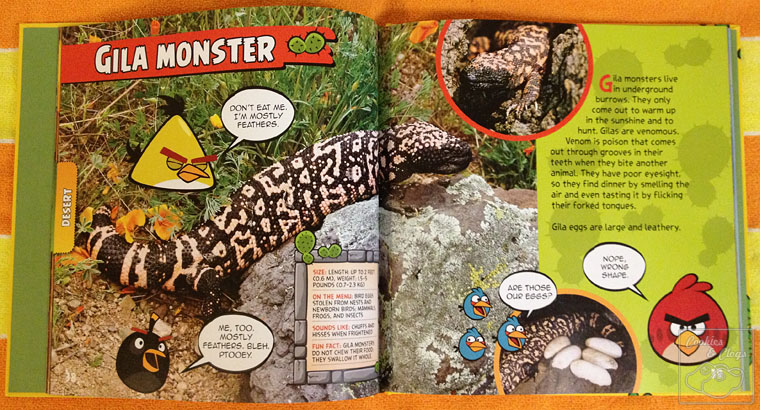 National Geographic Kids Angry Birds Playground Animals Book