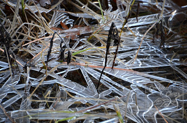 Mirror Lake in Yosemite National Park in Fall/Winter of 2012-2013 Ice Formation