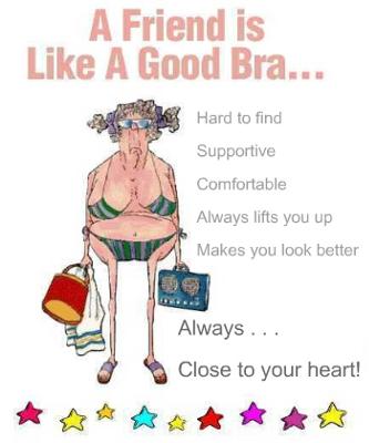 Funny Quote About Friends A Friend is Like a Good Bra