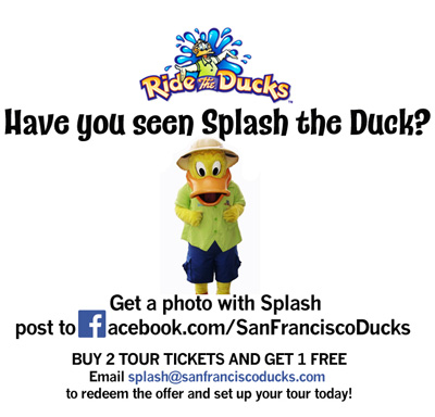 Splash & Ride the Ducks San Francisco Bay Tour, Amphibious Vehicle