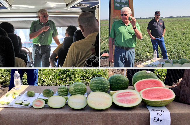 Perry & Sons Watermelon Farm Tour Courtesy of Safeway
