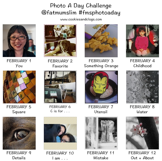 2014 FEBRUARY - Photo A Day Challenge (photos by www.cookiesandclogs.com) @fatmumslim #fmsphotoaday
