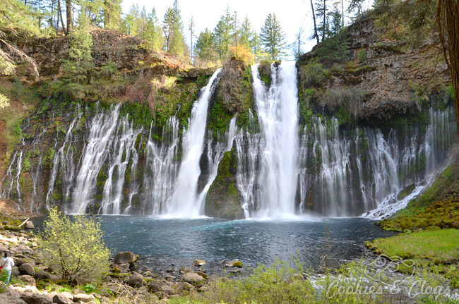 Burney Falls at McArthur-Burney Falls Memorial State Park in California - Waterfall #Photography #Travel