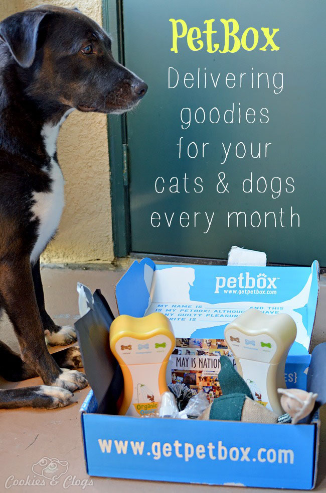 PetBox Review - monthly pet / dog / cat delivery service #Dogs #Cats