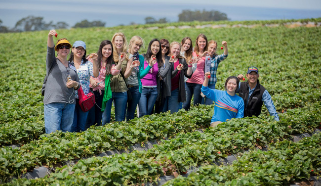 Strawberry fields tour in Watsonville w/ CA Strawberry Commision #StrawberryLand #california