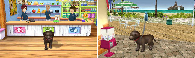 Petz Beach Nintendo 3DS Video Game Review