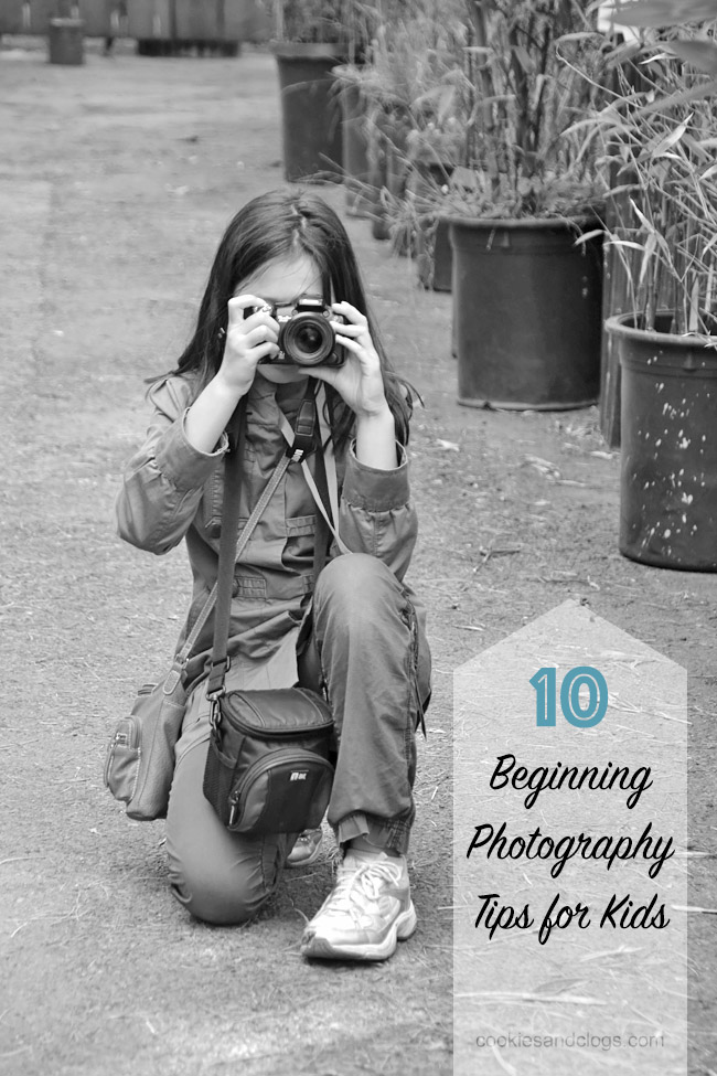 These ten beginning photography tips for kids are fantastic! They really helped my child to improve her smartphone photography skills, even now as a teen. Point #5 is especially good photography help for adults too.