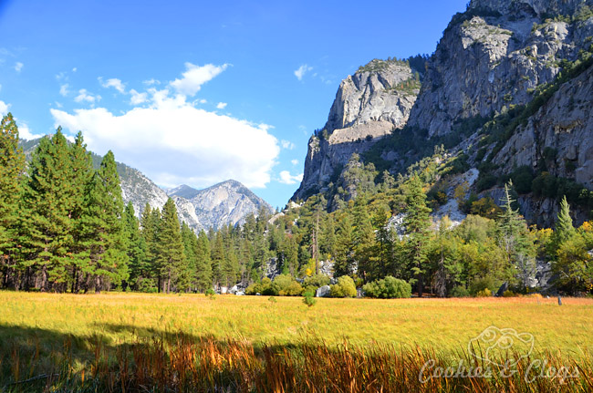 Things to Do in Kings Canyon National Park, CA for Families