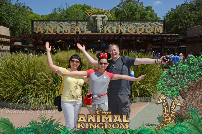 Walt Disney World | Family Travel | Disney's Animal Kingdom | 2015 Disney Social Media Moms Celebration made our family vacation so special and provided valuable blogging tips.
