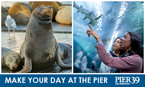Travel | Spend a whole day at PIER 39 in San Francisco with these buy one get one free (BOGO) Local Advantage coupons. See how my family enjoyed the RocketBoat, sea lions, Aquarium by the Bay, and more.
