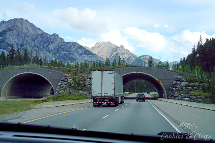 Travel | Cars | To test out the new 2016 Ford Explorer Platinum, I drove from Kamloops to Banff to Calgary in Canada for the Platinum Adventure Tour. Follow #ExploreMore . Road trip