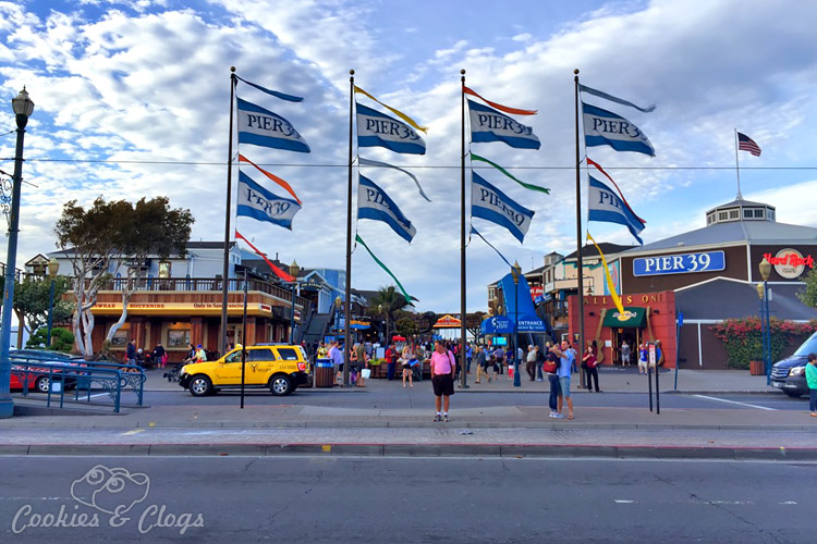 Travel | There are so many things to do with kids (or without) at Pier 39 in San Francisco, CA. Check out the aquarium, RocketBoat, sea lions, and get the Local Advantage discount here.