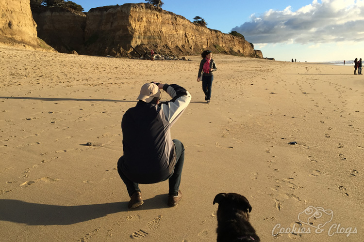 Family Travel | San Francisco Bay Area in California | We just discovered a great family beach that is also dog friendly (on leash). Check out our visit to Poplar Beach in Half Moon Bay.