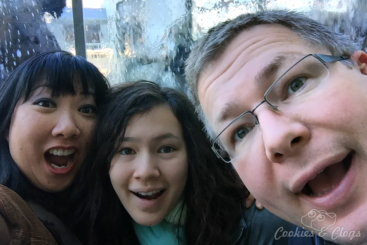 Parenting Tips | Teenagers | Raising teenagers is not easy. However, in spite of the growing need for independence, sometimes bonding with your teenager is more important than ever before. Together at the Monterey Bay Aquarium in Monterey, CA.