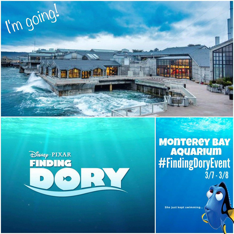 Movies | Join me and 24 other bloggers as we get a behind-the-scenes look at the new animated film from Disney and Pixar, Finding Dory. We’re headed to Monterey, CA and the Monterey Bay Aquarium March 7-8, 2016.