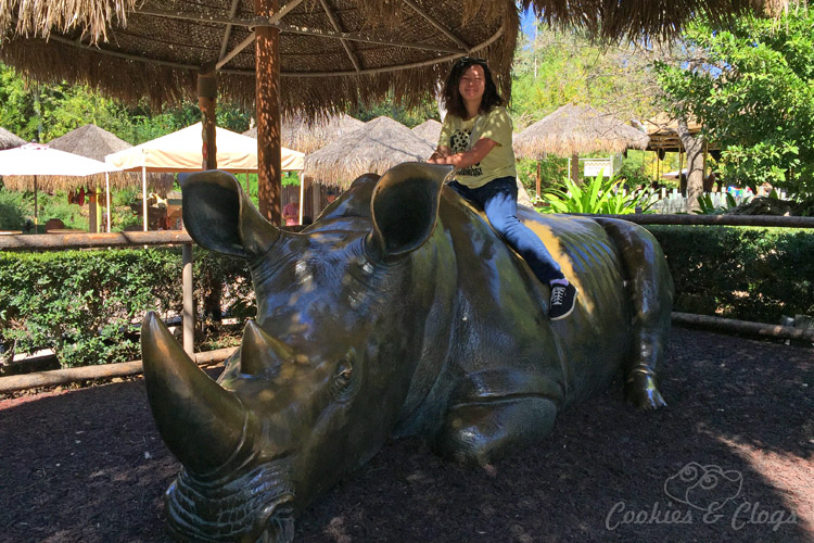 Nature Photography | Our last visit to San Diego Safari Park was amazing. We were able to capture some gorgeous and fun photos as the animals were extra active that day. The highlight was our ride on the Africa Tram tour. Rhino statue