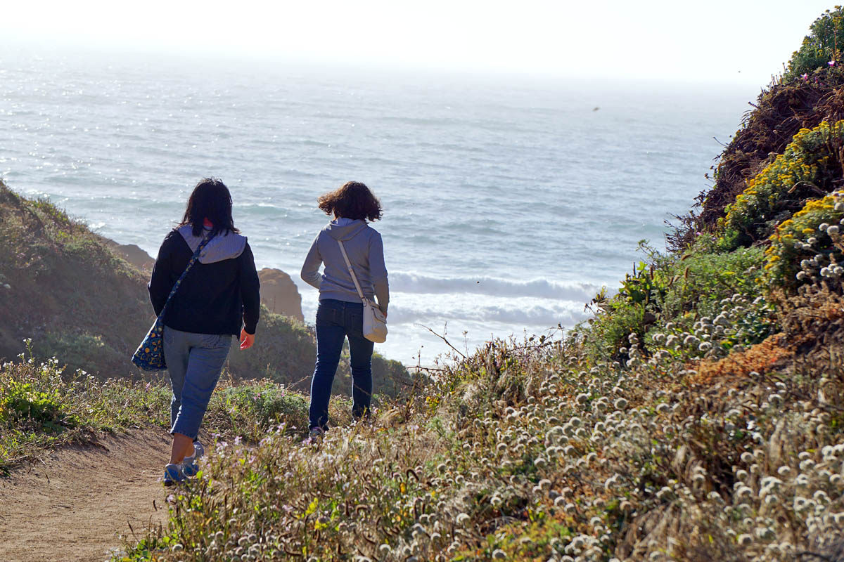 Day Trips Around The Bay Area
