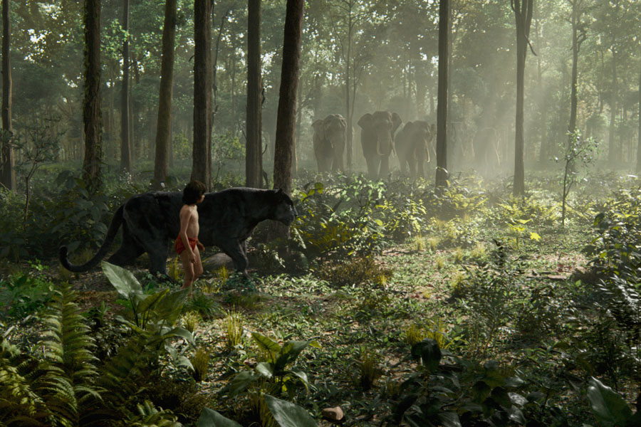 Cookies & Clogs | Movies | The Jungle Book will soon be on Blu-ray, DVD, and Digital HD. Read about the 6 fun facts shared by Producer Brigham Taylor and Visual Effect Supervisor Rob Legato in this interview.