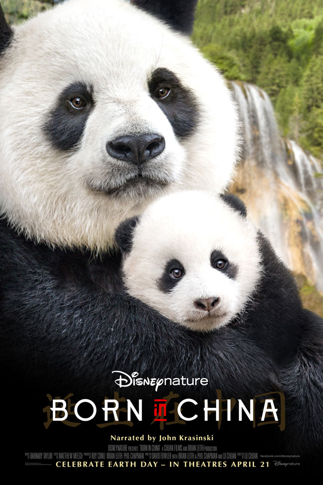Cookies & Clogs | Movies | Monkey, leopards, and bears — oh my! I'm so excited for the new Disneynature Born in China movie! Check out these Born in China Activity Sheets and Homeschool Lesson Ideas / Educator Guide.
