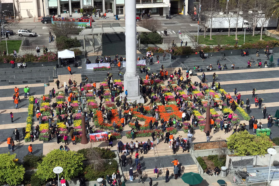 2018 American Tulip Day in San Francisco California at Union Square / Tulpendag San Francisco