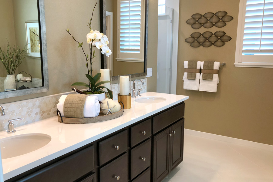 May 2018 Grand Opening of New Homes in Mountain House, CA — Savannah II by Signature Homes neighborhood and model homes to tour.