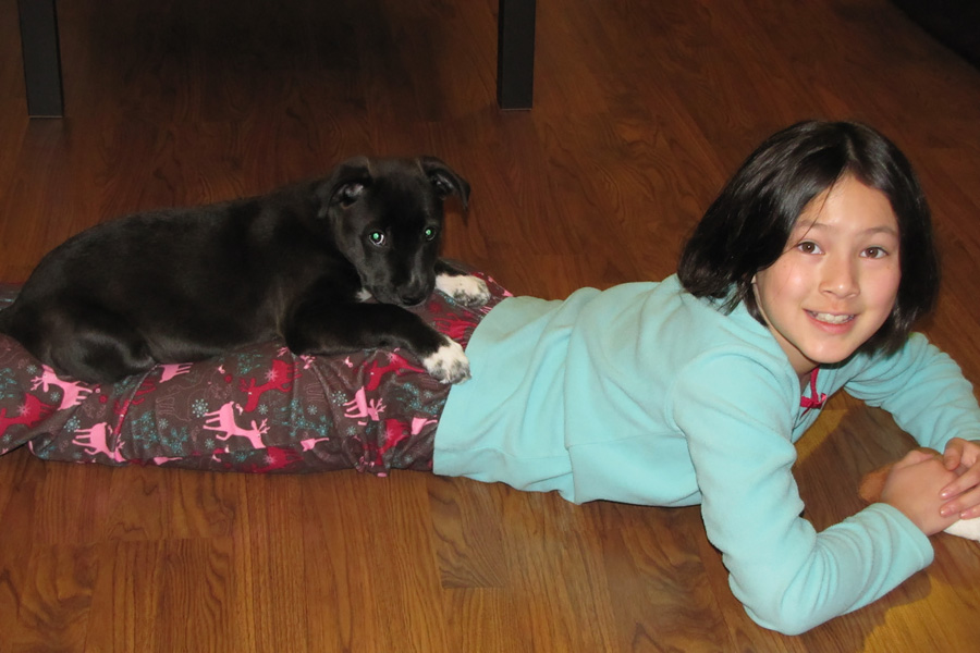 How to Care for a Senior Dog healthcare and wellness - mixed asian girl with puppy on legs