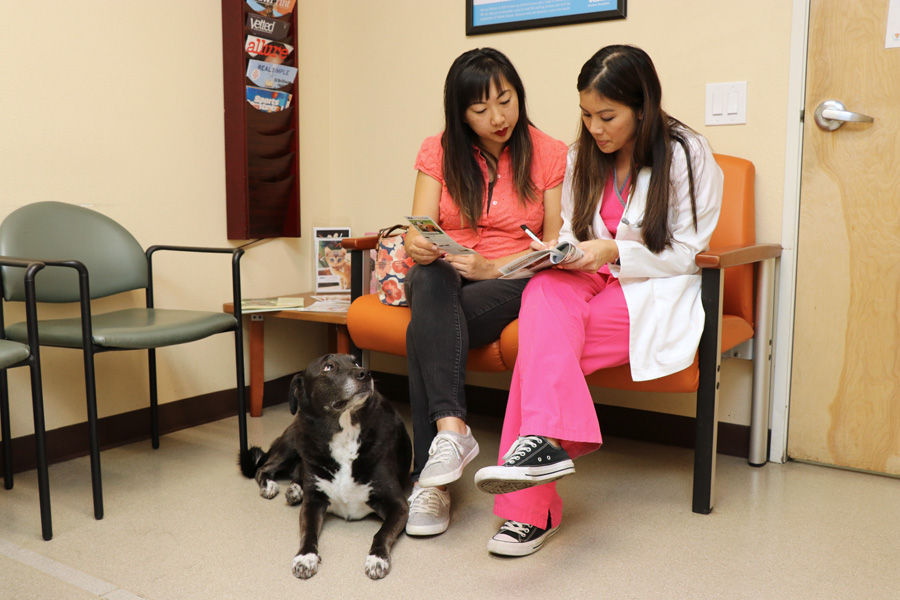 How to Care for a Senior Dog healthcare and wellness - VCA CareClub details with vet