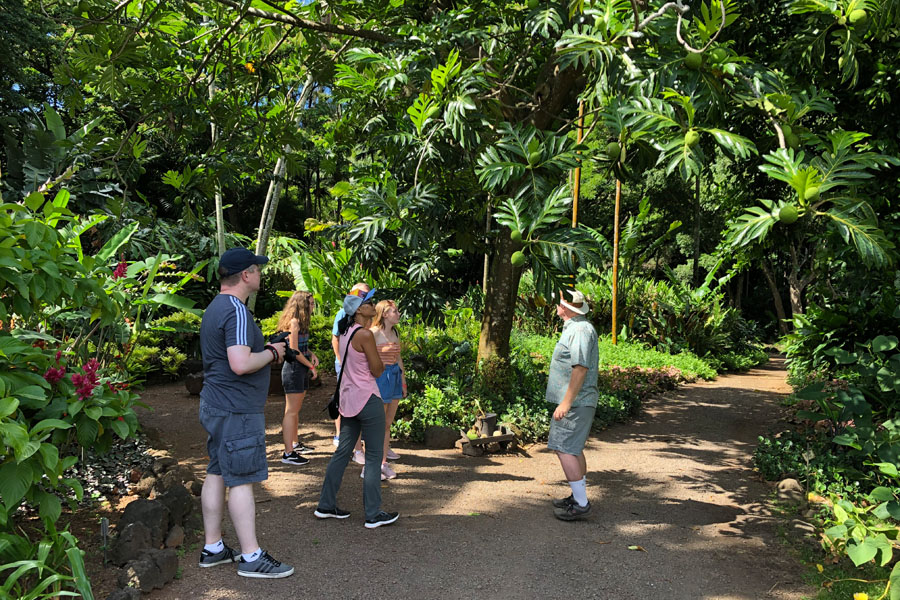 Taking the Allerton Garden Tour in Lawai Valley on the South Shore. 1 of 3 National Tropical Botanical Gardens in Kauai Hawaii. Breadfruit