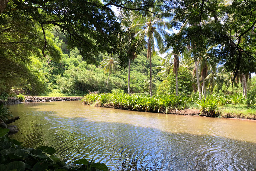 Taking the Allerton Garden Tour in Lawai Valley on the South Shore. 1 of 3 National Tropical Botanical Gardens in Kauai Hawaii. Lawai stream as shown in Jurassic Park