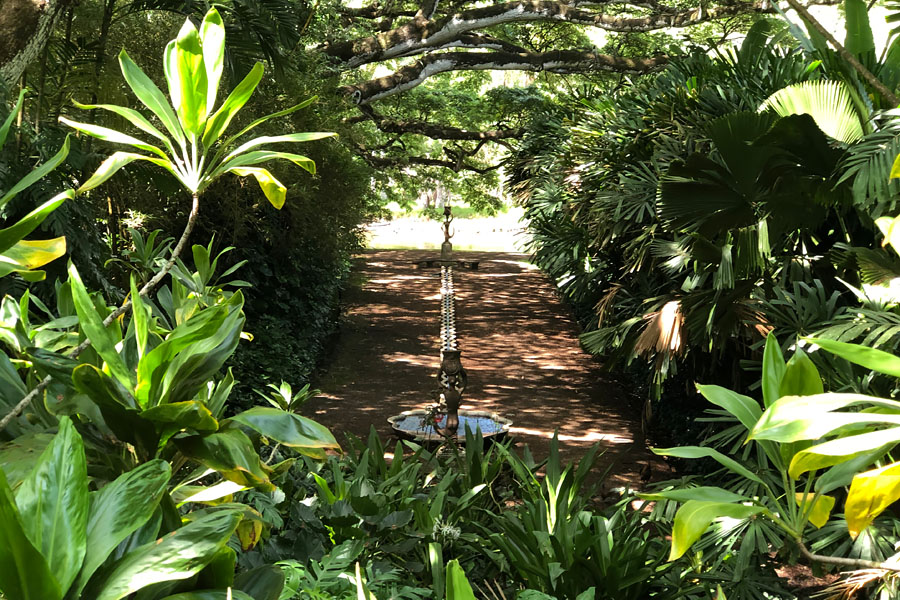 Taking the Allerton Garden Tour in Lawai Valley on the South Shore. 1 of 3 National Tropical Botanical Gardens in Kauai Hawaii. Mermaid room overview
