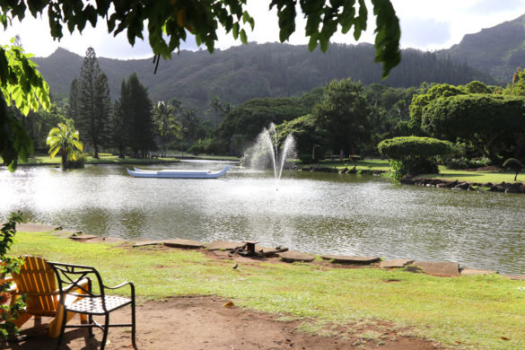 Smith Family Garden Luau / Hawaiian Luau in Kauai Hawaii lagoon fountain