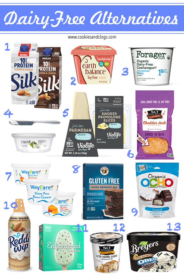 Best 10+ Almost Perfect Dairy Free Alternatives Vegan for Cheese, Yogurt, Sour Cream, Milk Ice Cream, Cream Cheese, and More