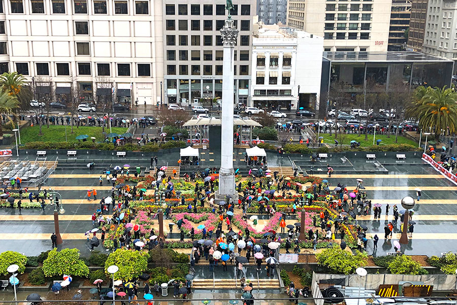 2020 Flower Bulb Day in San Francisco on March 7th! at Union Square in San Francisco on March 7. Photo from 2019 free tulips event overview from Macy's