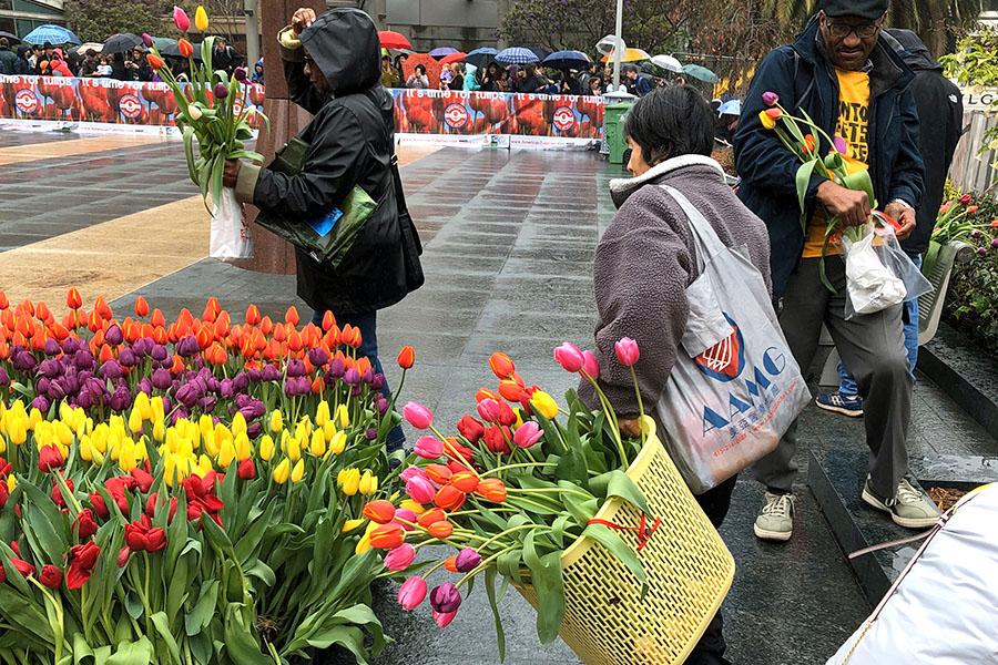 2020 Flower Bulb Day in San Francisco on March 7th! at Union Square in San Francisco on March 7. Photo from 2019 free tulips event do not bring your own basket