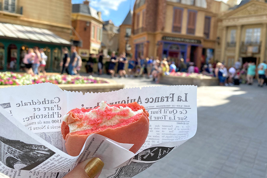 Walt Disney World France Pavilion Macaron Ice Cream Sandwich